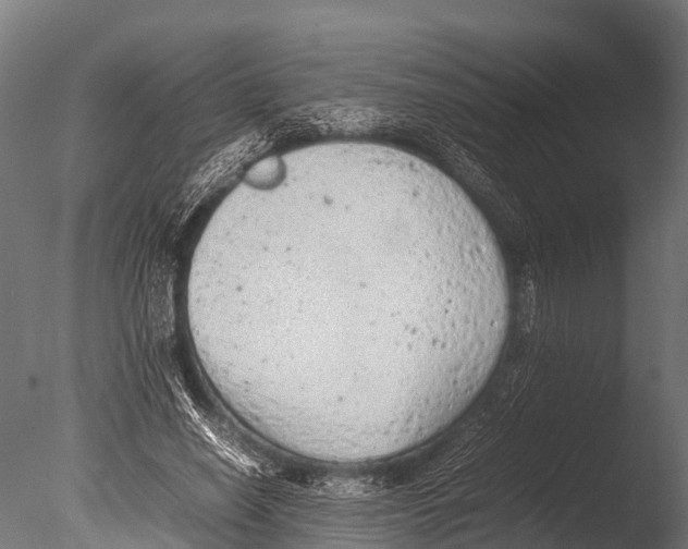 X0000085010638200704021401