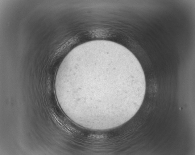 X0000085010639200704021401