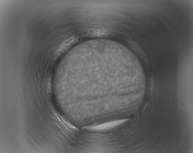 X0000085010640200704021401