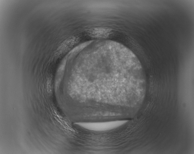 X0000085010641200704021401