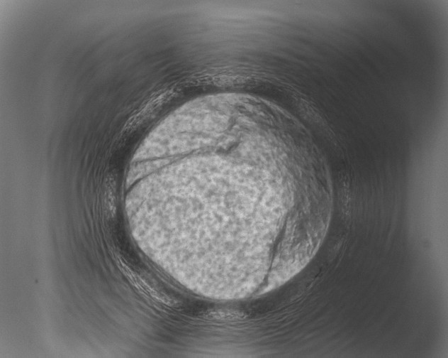 X0000085010644200704021401