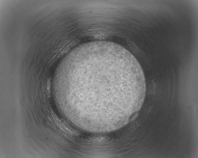 X0000085010646200704021401