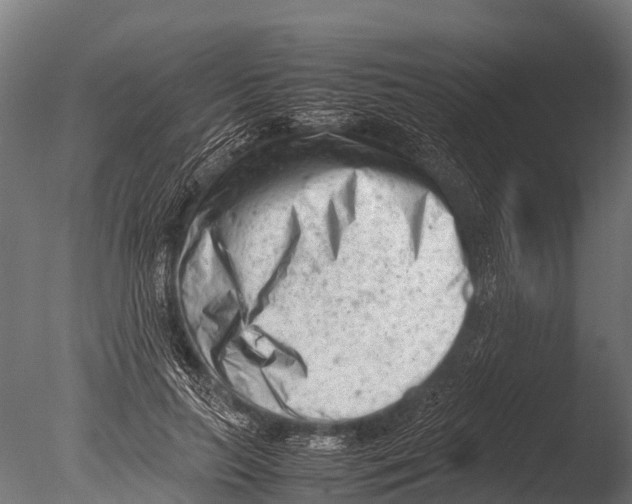 X0000085010647200704021401