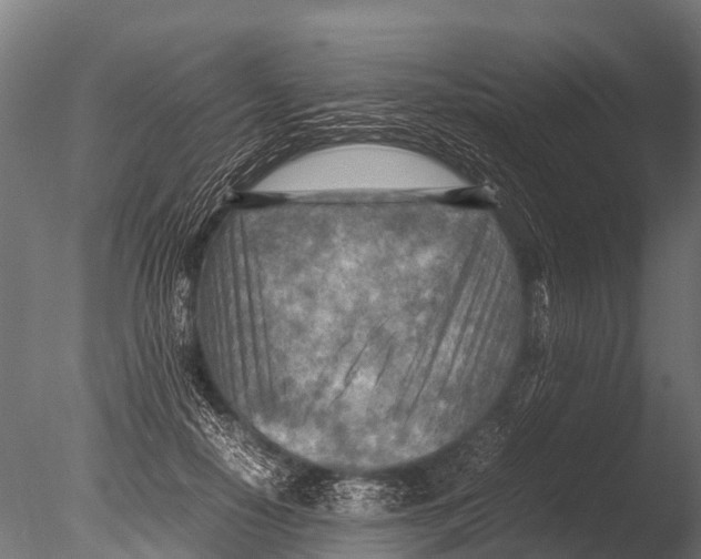 X0000085010650200704021401