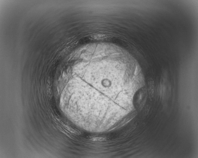 X0000085010653200704021402