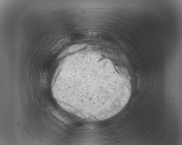 X0000085010654200704021402