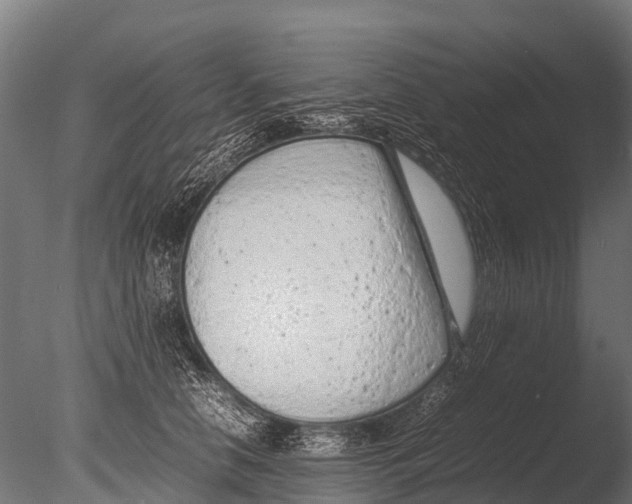 X0000085010658200704021402