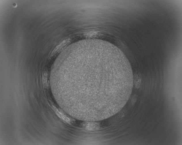 X0000085010670200704021402