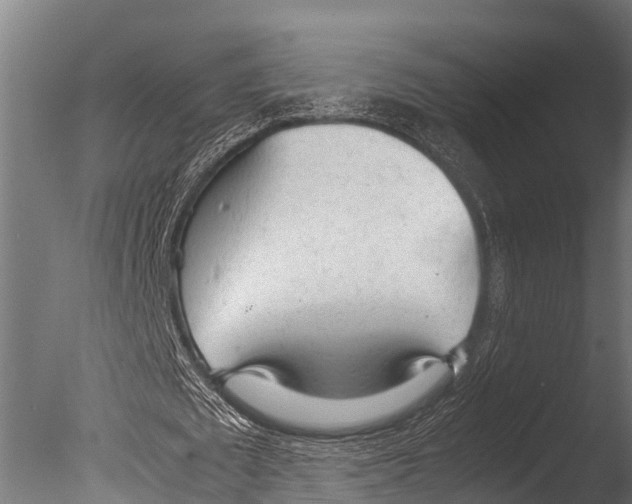 X0000085010673200704021401