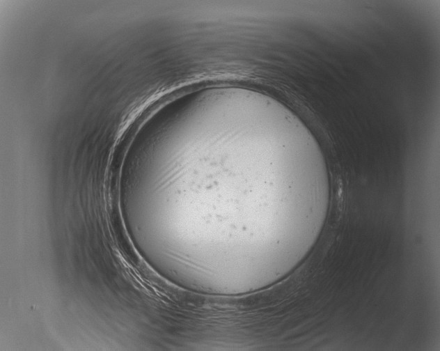 X0000085010676200704021401