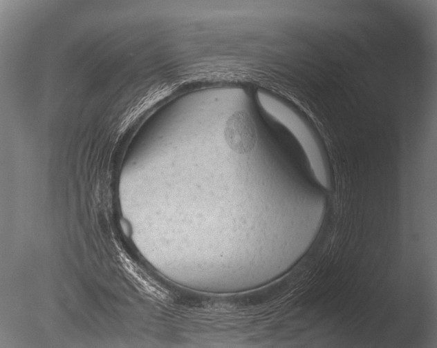 X0000085010677200704021401