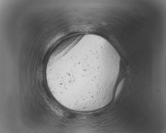 X0000085010679200704021401