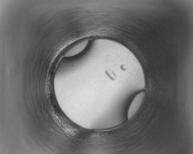 X0000085010680200704021401