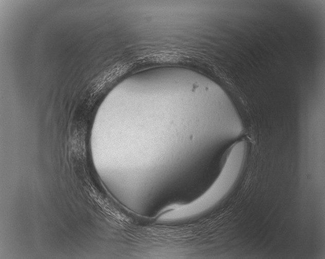 X0000085010681200704021401