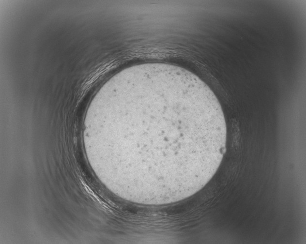 X0000085010683200704021401