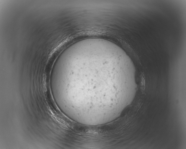 X0000085010684200704021401