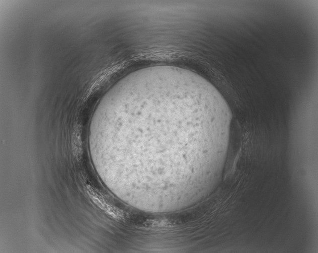 X0000085010688200704021401