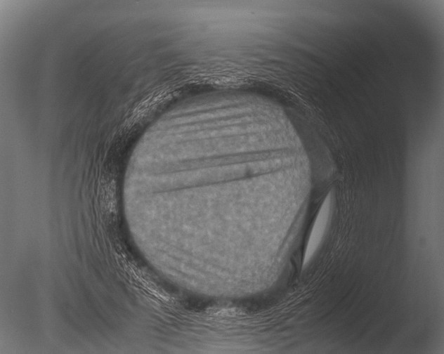 X0000085010689200704021401