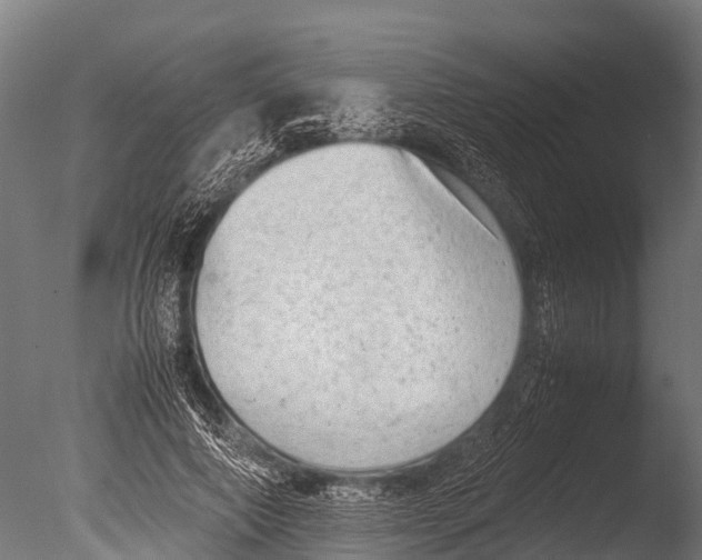 X0000085010690200704021401