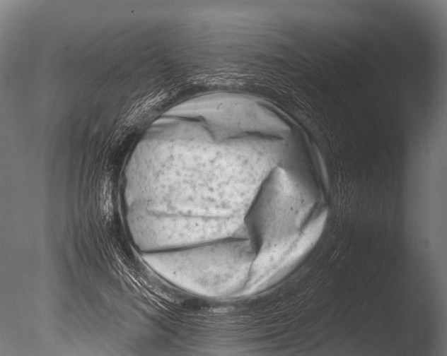 X0000085010692200704021401