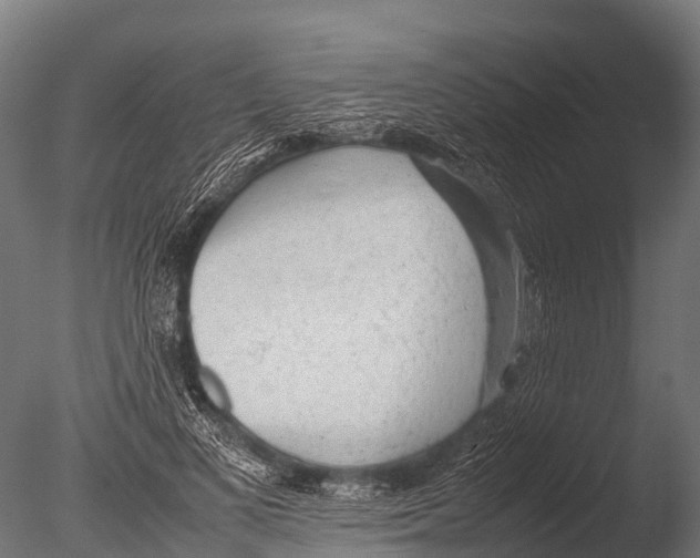 X0000085010693200704021401