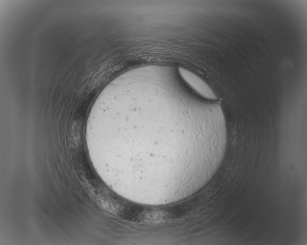 X0000085010695200704021401