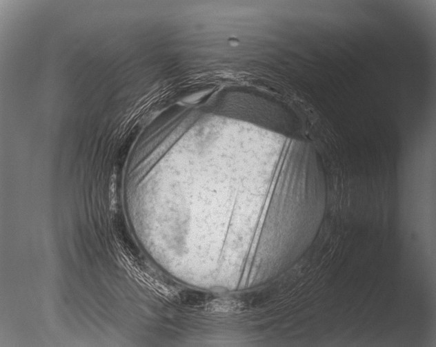 X0000085010696200704021401