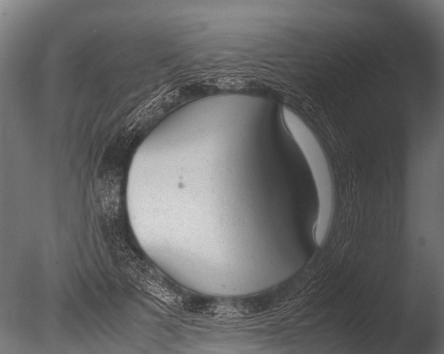 X0000085010697200704021401