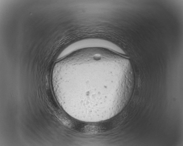 X0000085010699200704021401