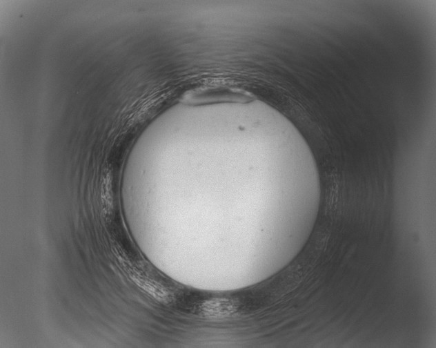 X0000085010700200704021401