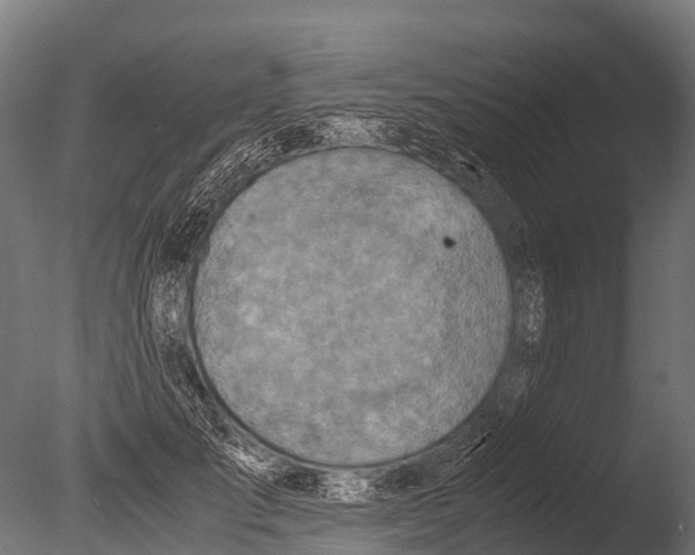 X0000085010701200704021400