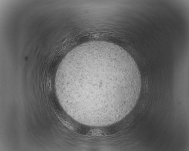 X0000085010703200704021400