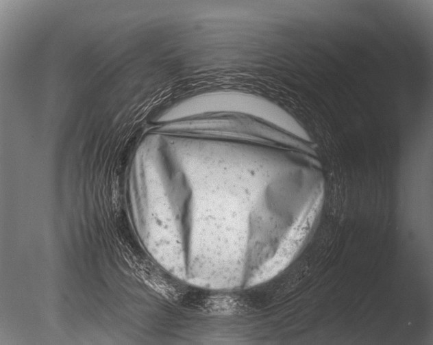 X0000085010704200704021400