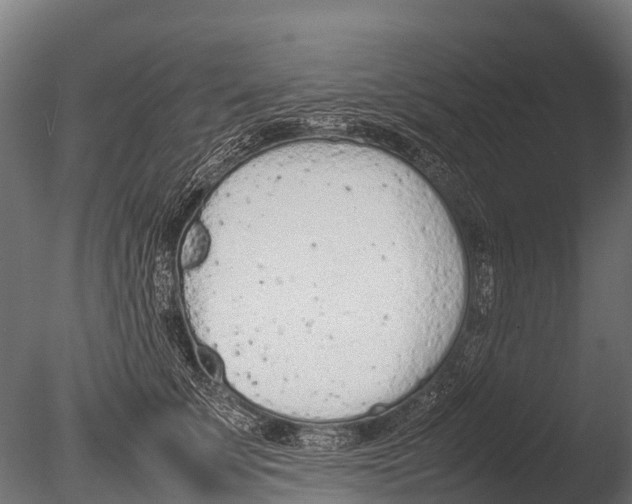 X0000085010707200704021400