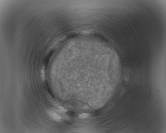 X0000085010718200704021400