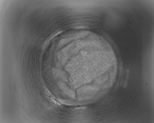 X0000085010721200704021359