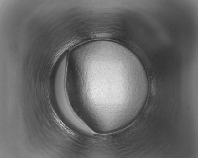 X0000085010725200704021359