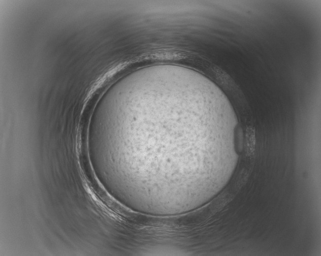 X0000085010726200704021359