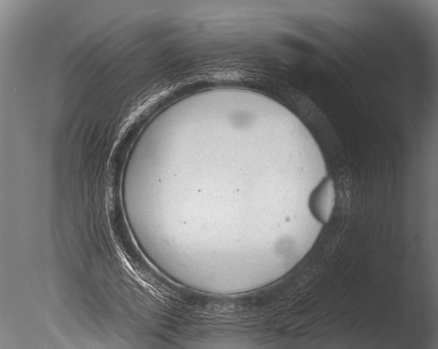 X0000085010728200704021359