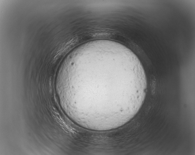 X0000085010729200704021359