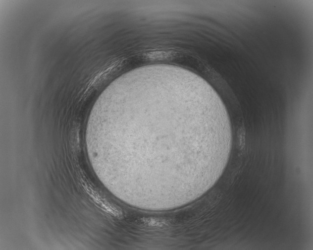 X0000085010733200704021359