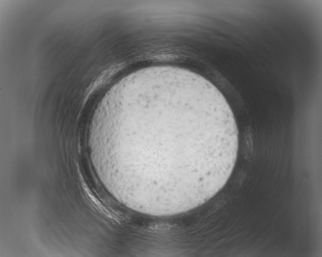 X0000085010734200704021400