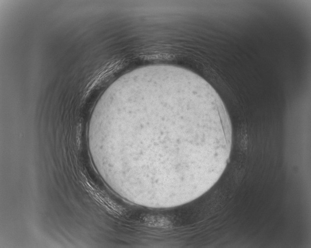 X0000085010735200704021400