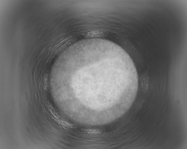 X0000085010741200704021400