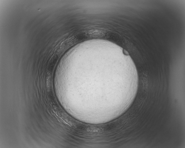 X0000085010745200704021400