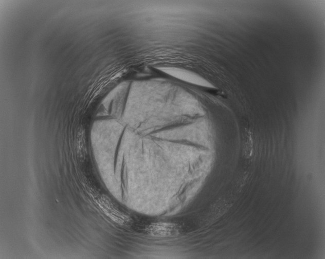 X0000085010748200704021400