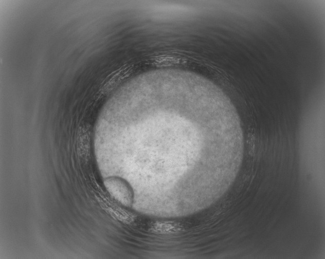 X0000085010753200704021400