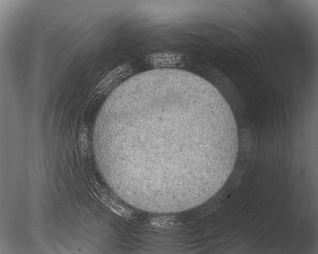 X0000085010761200704021400