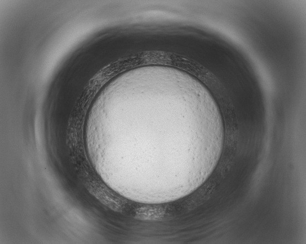 X0000085010765200704021400