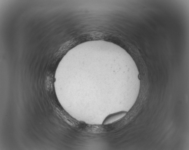 X0000085010768200704021400